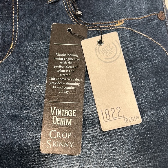 1822 Denim Zig Vintage Crop Skinny Jeans size 4 New with Tags - Picture 3 of 4